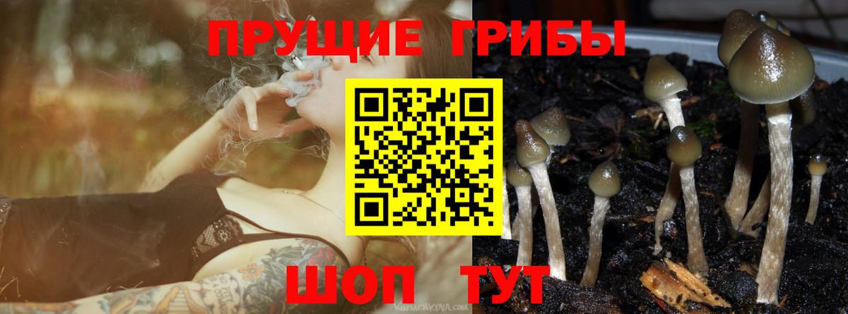 Галлюциногенные грибы ЛСД Рубцовск